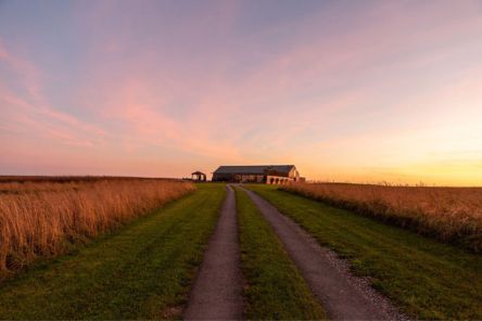 Autumn sunset on wedding day at Chalk Barn Dan Watkins My Flower Patch 